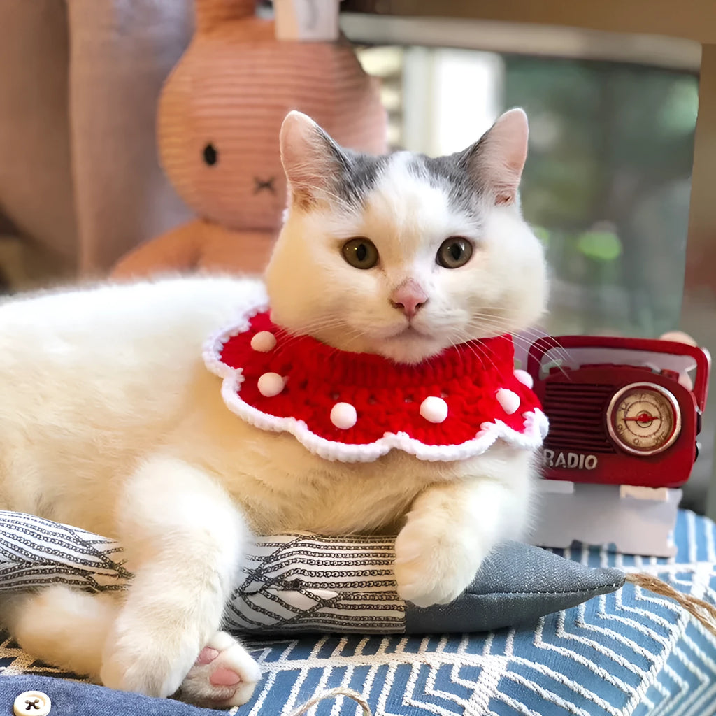Milk cotton knitted collar with cartoon pattern for a cat, showing customisable colour options.