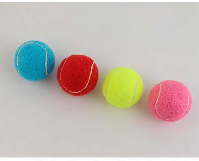 6.3 cm rubber tennis ball for dogs in assorted bright colours including pink, blue, yellow, green and orange