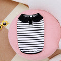 Pet dog wearing striped cotton T-shirt with coordinating skirt summer outfit set