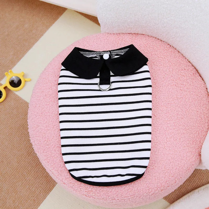 Pet dog wearing striped cotton T-shirt with coordinating skirt summer outfit set