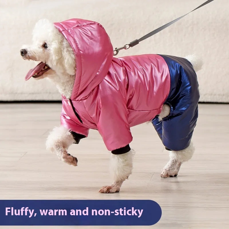 Green four-legged waterproof dog coat on a pet, showing full coverage and casual style.