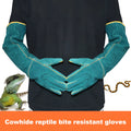 Dark green cowhide leather animal handling gloves with extended sleeve cuffs.