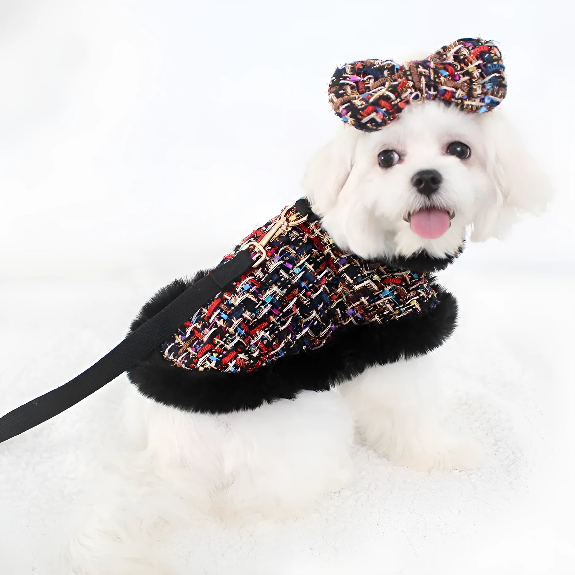 Classic style dog cloak attached to a cloth chest strap harness with an integrated hand holding rope leash.