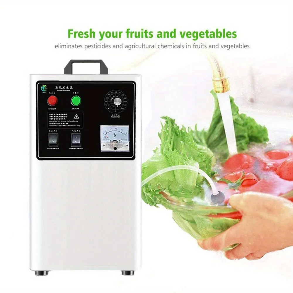 Ozone generator fruit and vegetable washer machine in stainless steel or white finish with 20g/h output