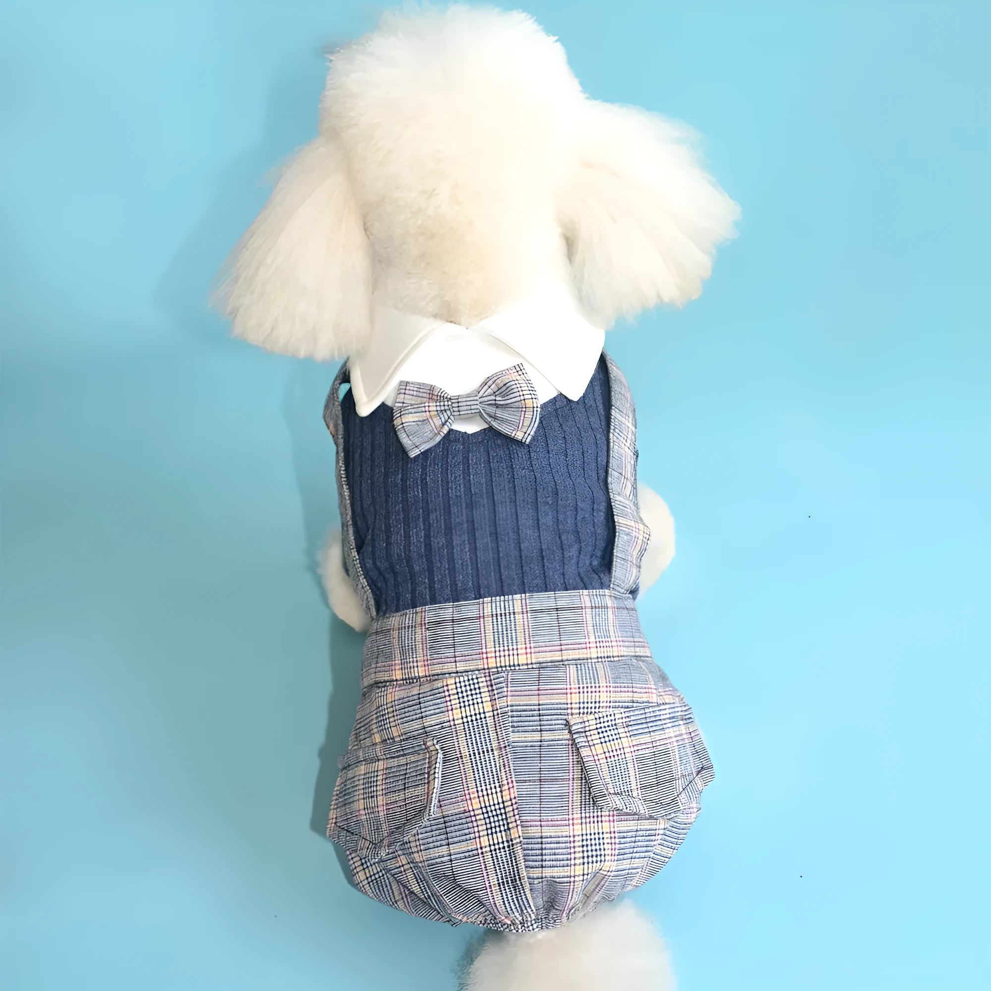 Cotton dog shirt suit for small pets in dark blue and orange colour options