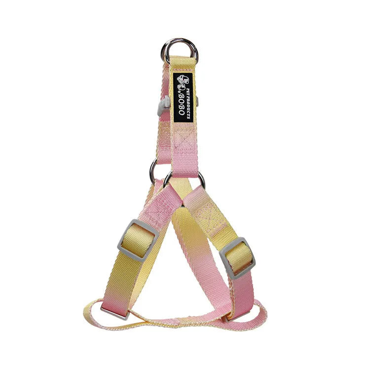Gradient colour nylon dog leash and harness set shown in pink and blue combination.