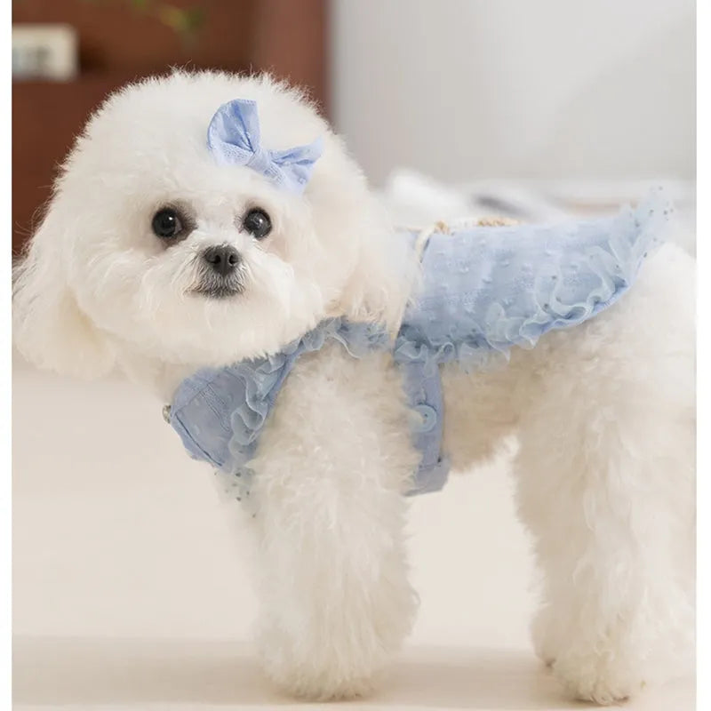 Small dog wearing quiet country shoulder bag carrier in blue, with bow and crossbody bag