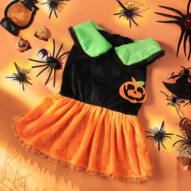 Small dog wearing a orange crystal velvet Halloween pumpkin skirt costume with green leaf accents.