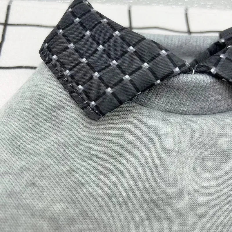 Grey dog jumper with detachable collar hoodie on small breed pet showing two-piece construction
