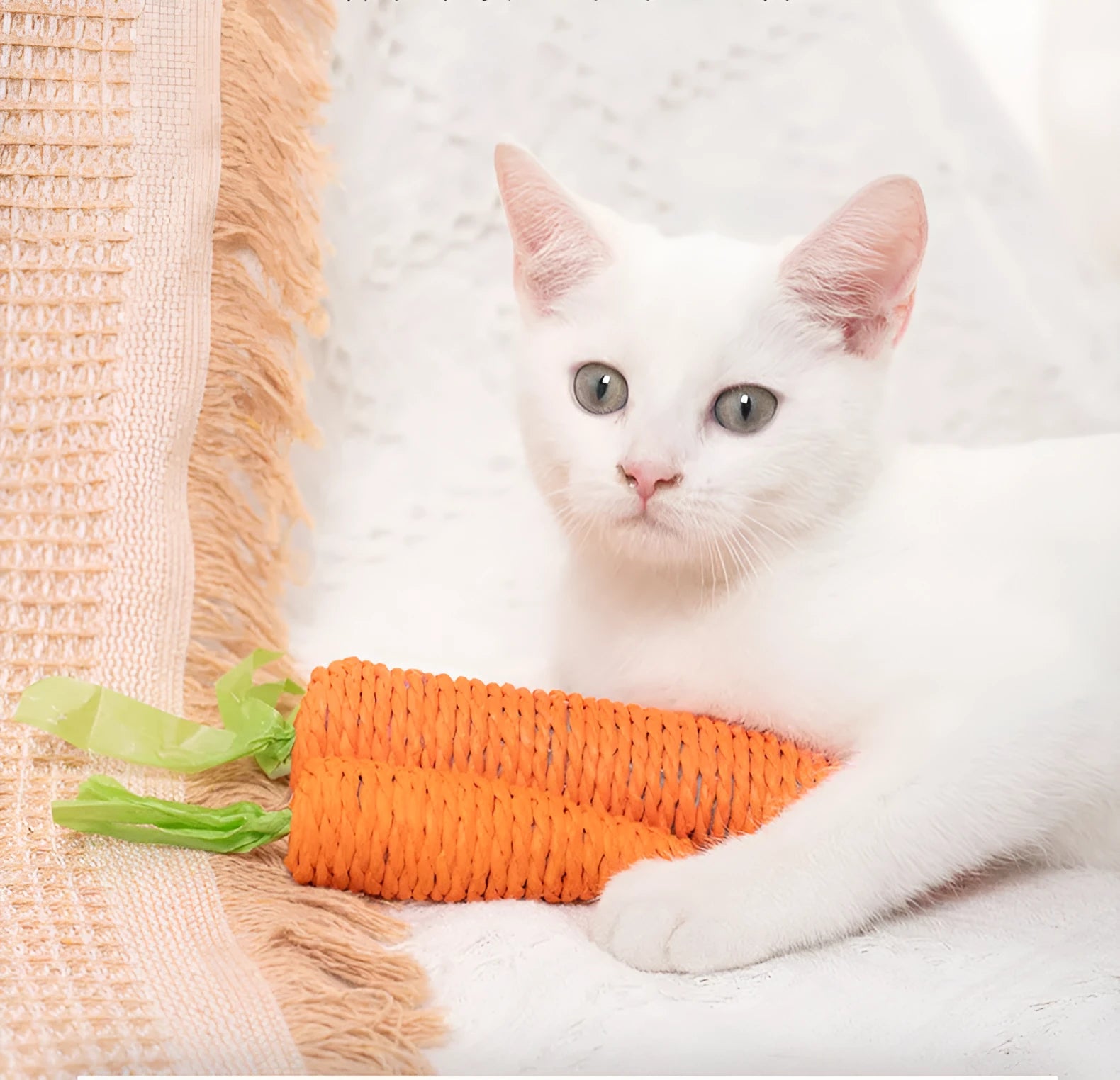 Interactive cat toys set showing carrot bites paper toys, ringing stones, cat sticks, and dental grinding sticks