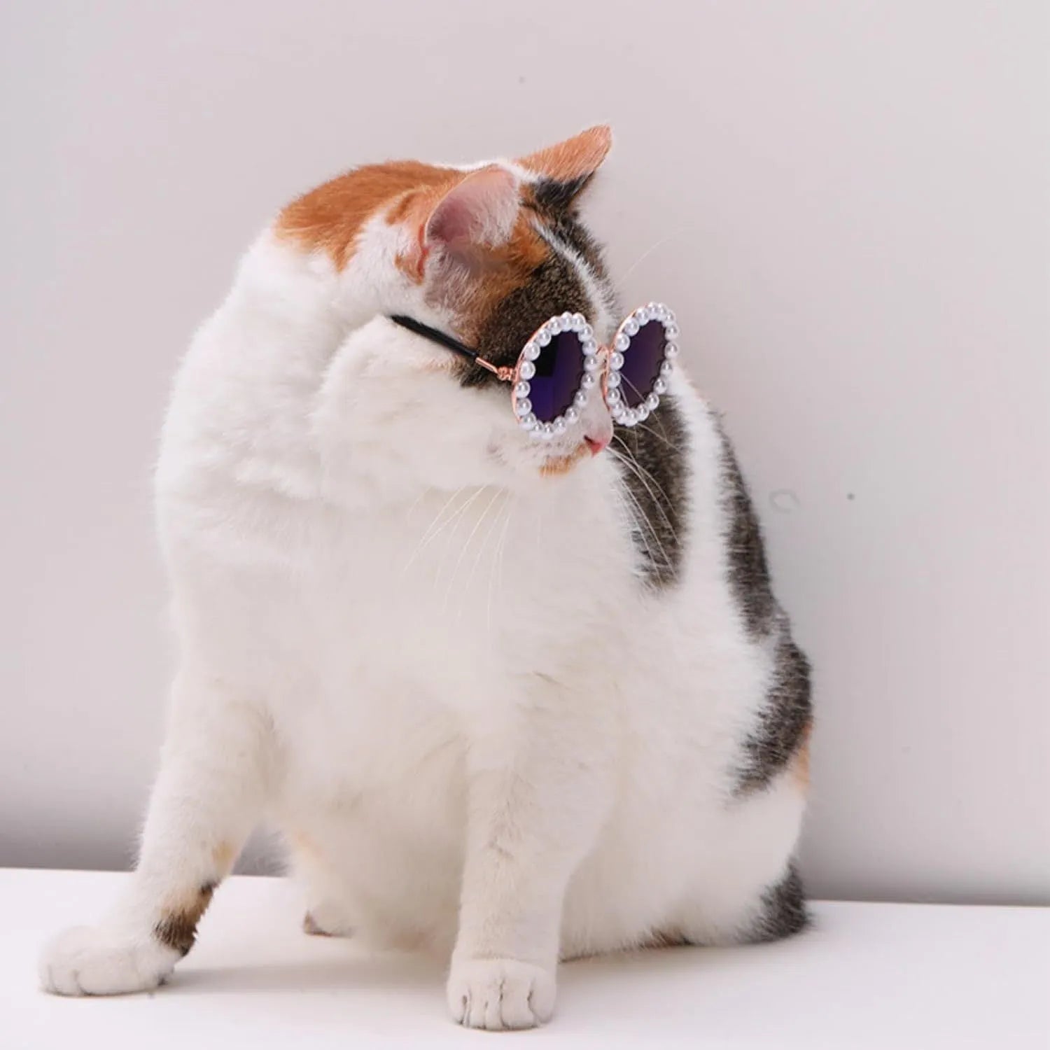Pearl-decorated round sunglasses for cats and dogs in multiple colours and two sizes
