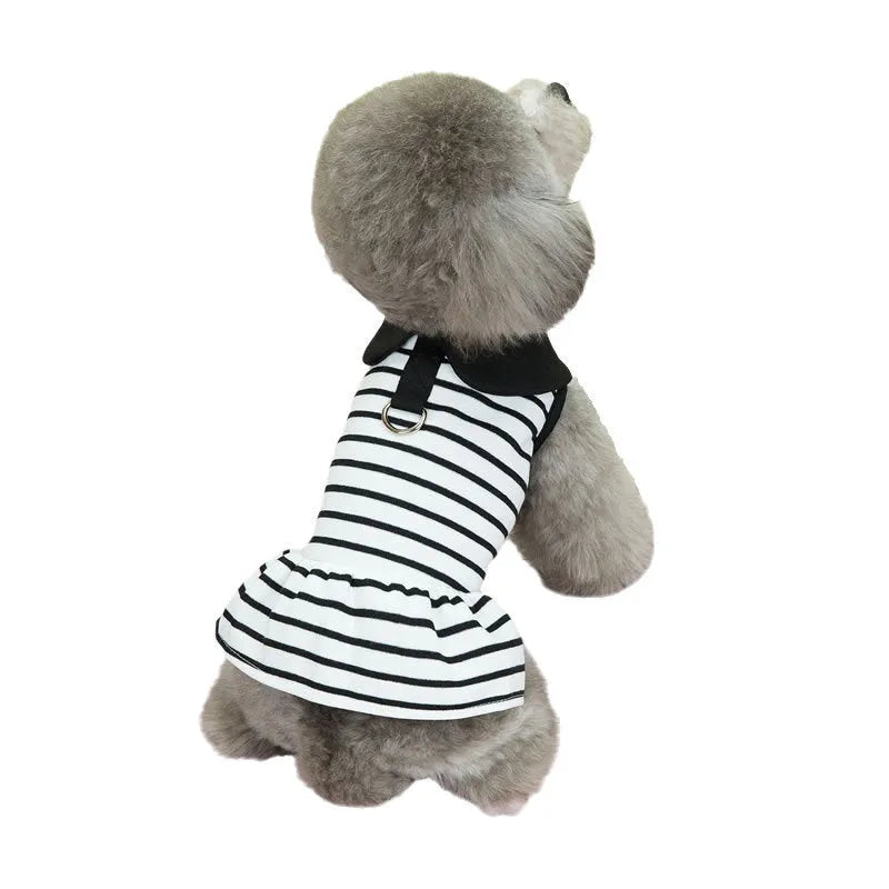 Pet dog wearing striped cotton T-shirt with coordinating skirt summer outfit set