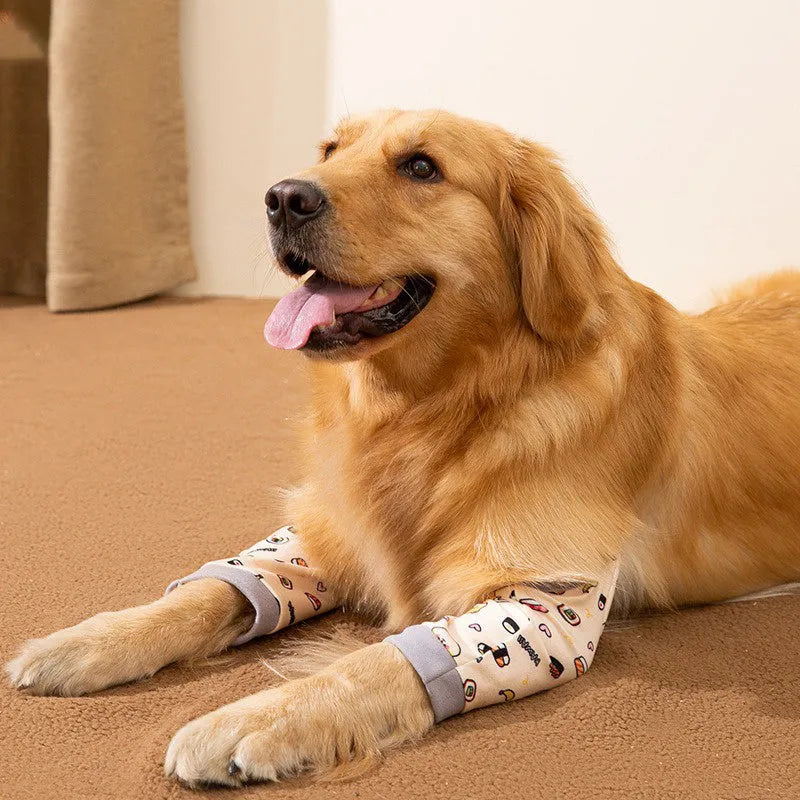 Blue dog knee protector pad with extra-thick elbow padding and matching scarf on a medium dog