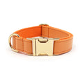 Simple colour blocking velvet leather dog collar in caramel colour with size tag