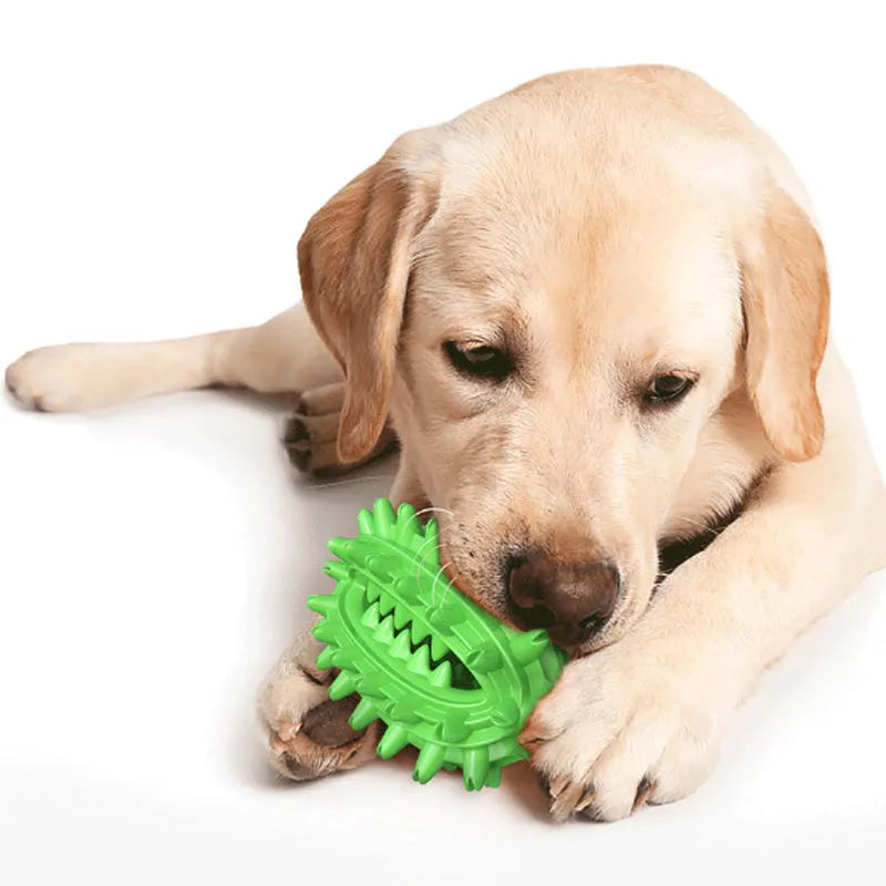 Green cactus-shaped dog dental chew toy with textured bumps for teeth cleaning