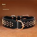 Leather dog collar with a line of metal anti-bite rivets, shown in chocolate brown colour.