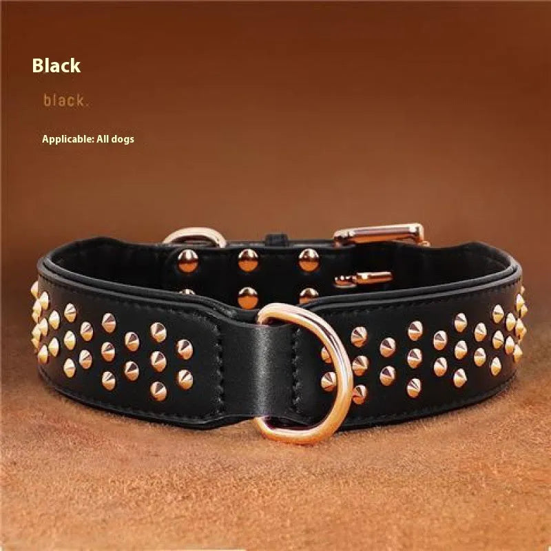Leather dog collar with a line of metal anti-bite rivets, shown in chocolate brown colour.