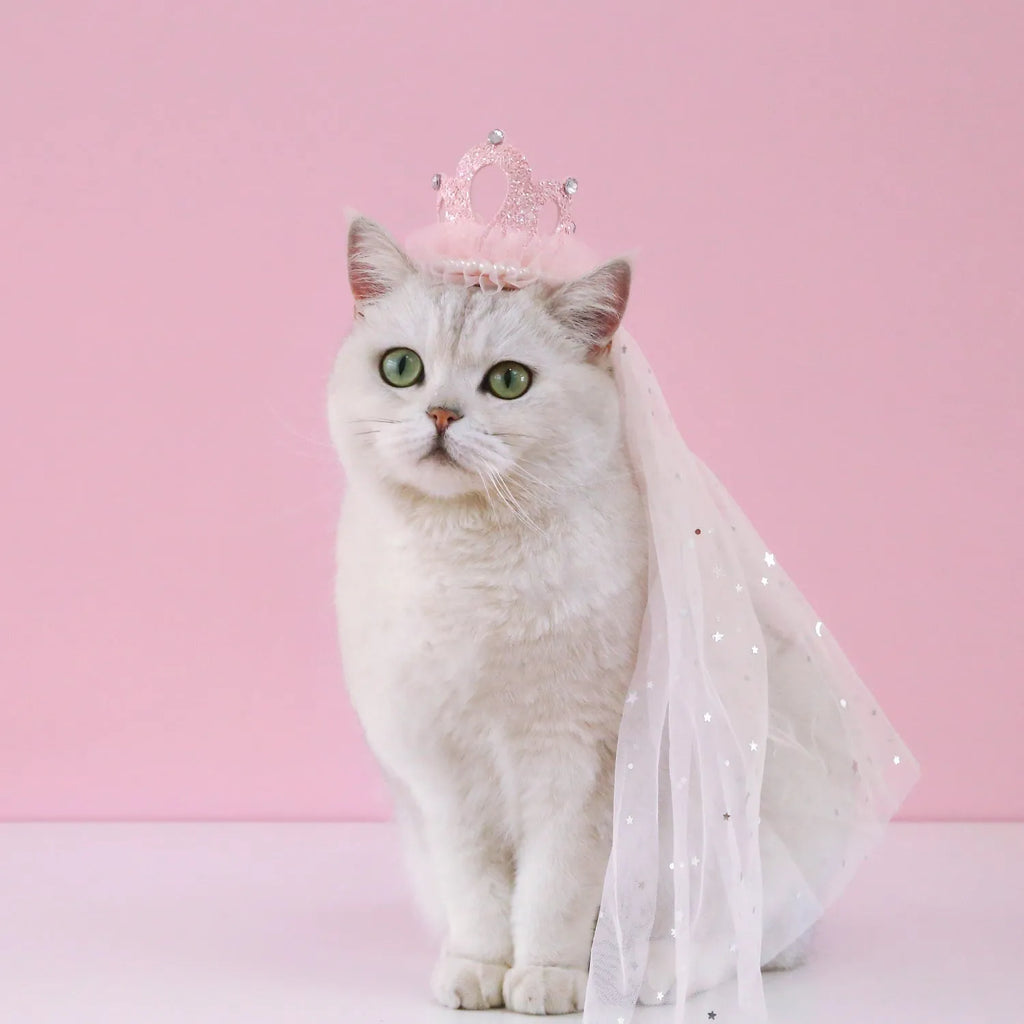 Cat wearing a princess crown headdress with a beige veil, pet wedding accessory