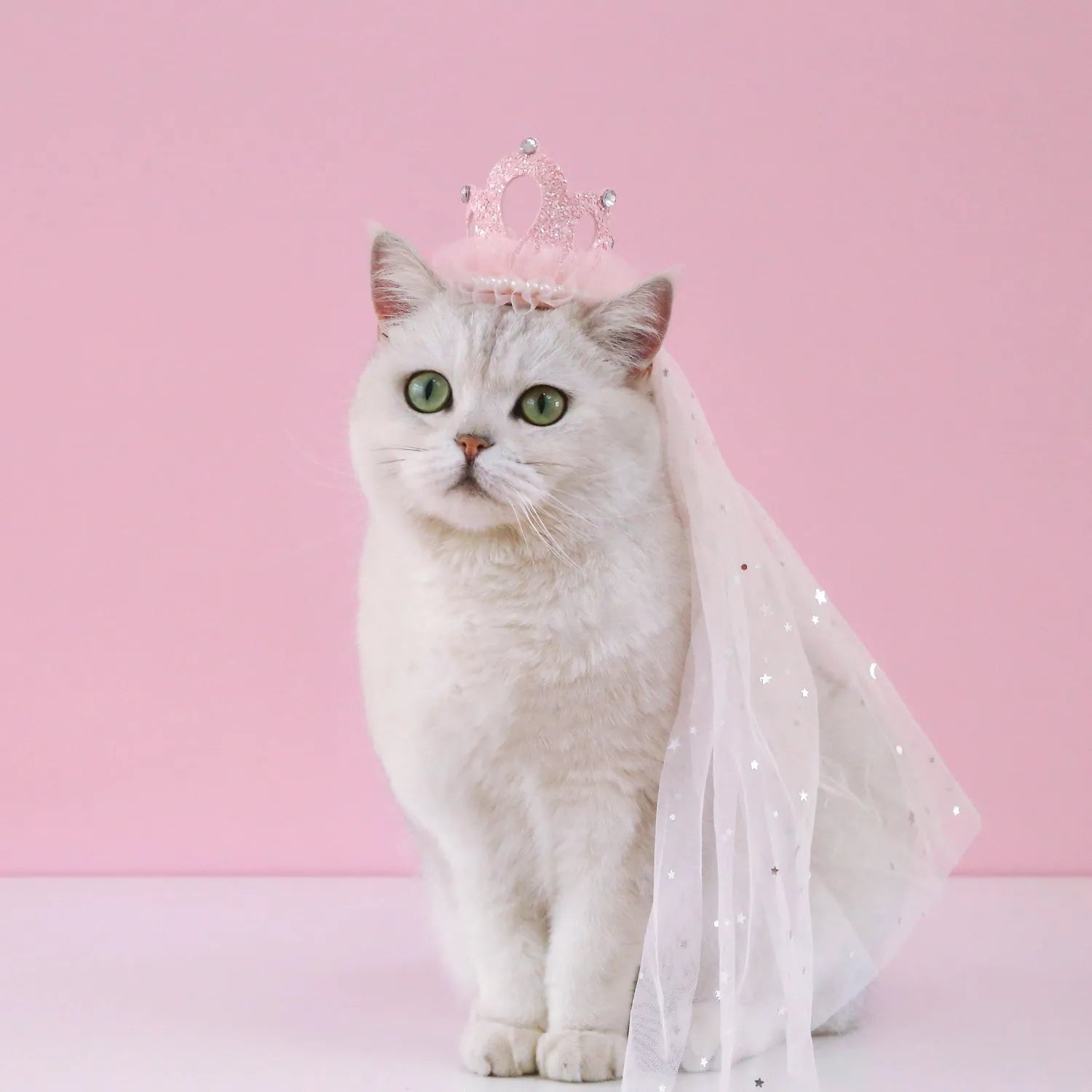 Cat wearing a princess crown headdress with a beige veil, pet wedding accessory