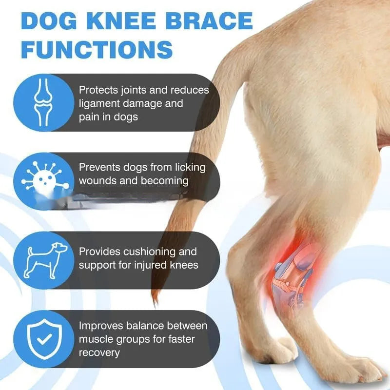 Black dog leg guard for ACL rehabilitation and joint protection in multiple sizes