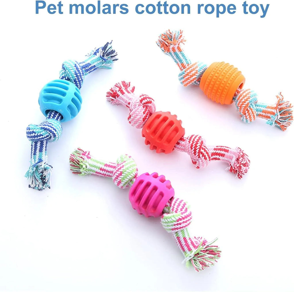 Blue dog chew toy with molar shape and rope attachment for teeth cleaning