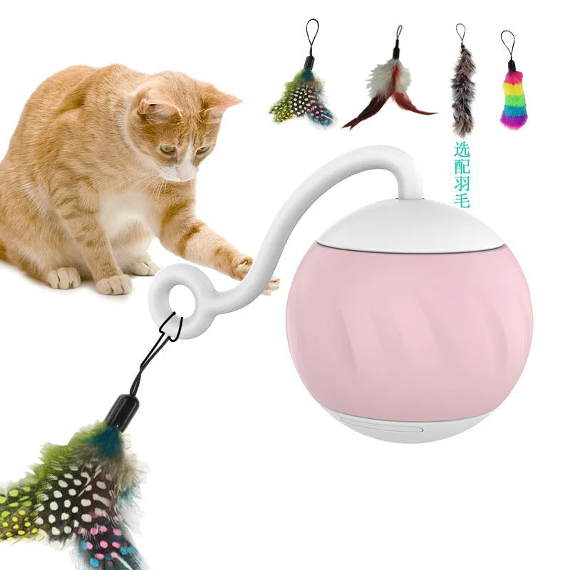 Electric glowing cat toy ball with automatic movement in watermelon or pumpkin design