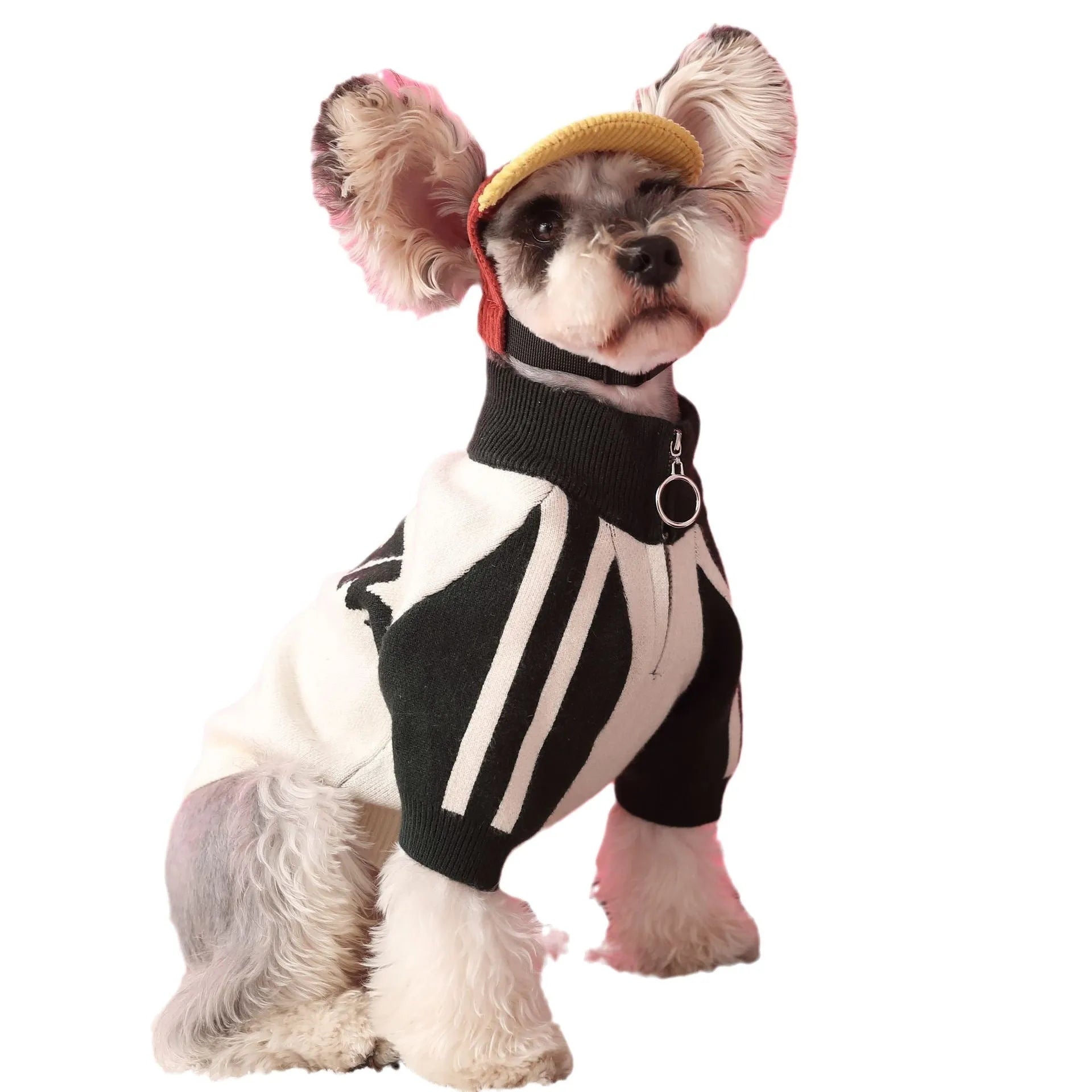 Dark green wool dog cardigan in casual sports sweater style for pet clothing