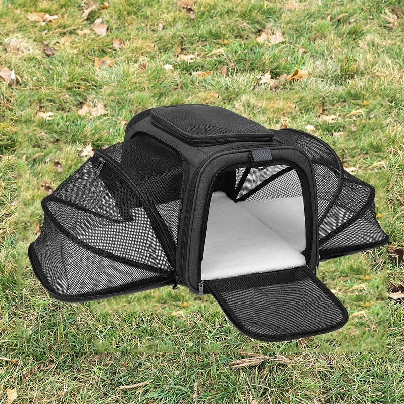 Cat carrier bag made from 600D cation fabric in solid colour with piping colour options