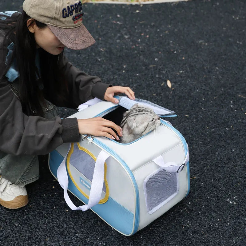 Outdoor portable foldable cat backpack in blue colour with breathable mesh panels