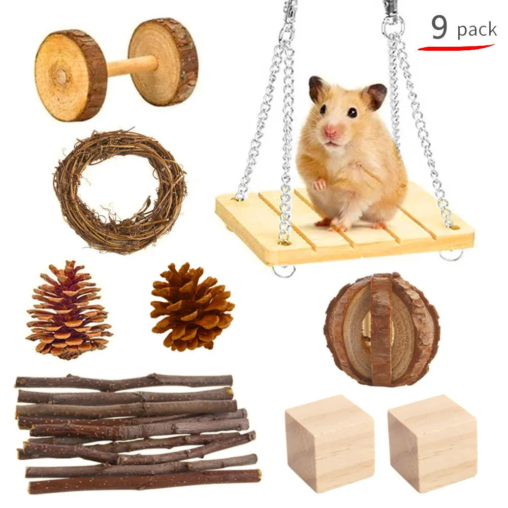 Assorted wooden chew toys for small pets including balls and mats on a natural background