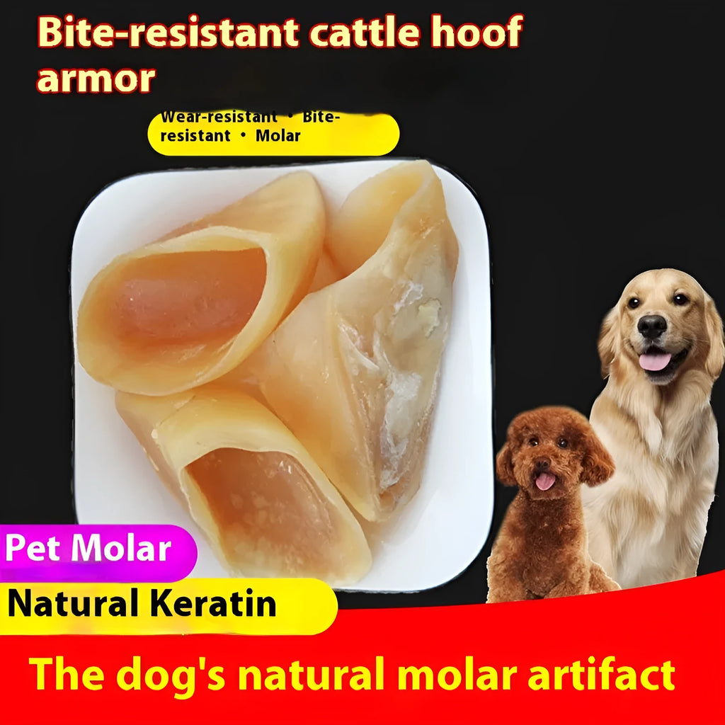 Natural cowhide dog grinding chew toy with a hoof shell, shown in two sizes for small and large dogs.