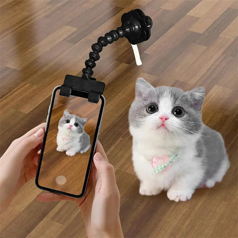 Black pet photography tool holding a mobile phone and a dog treat, on a white background.