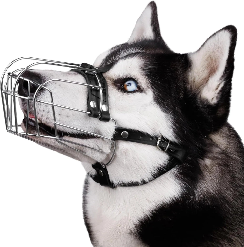 Black metal wire basket dog muzzle for Golden Retriever and German Shepherd breeds
