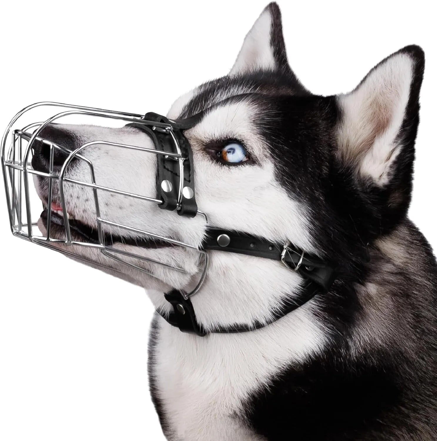 Black metal wire basket dog muzzle for Golden Retriever and German Shepherd breeds