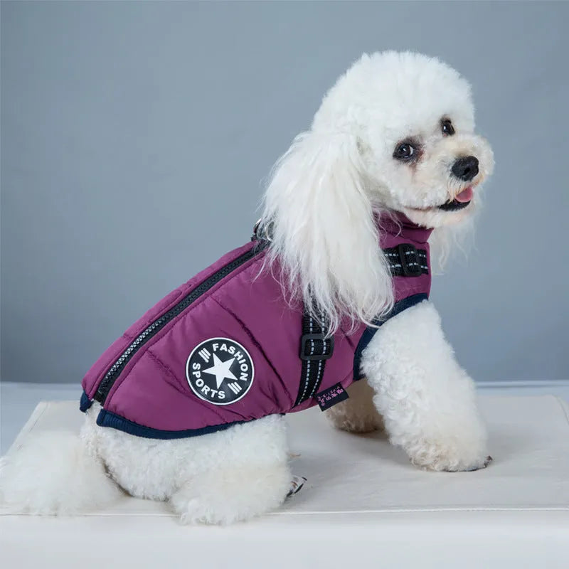 Waterproof dog coat with integrated harness in red, shown on a dog