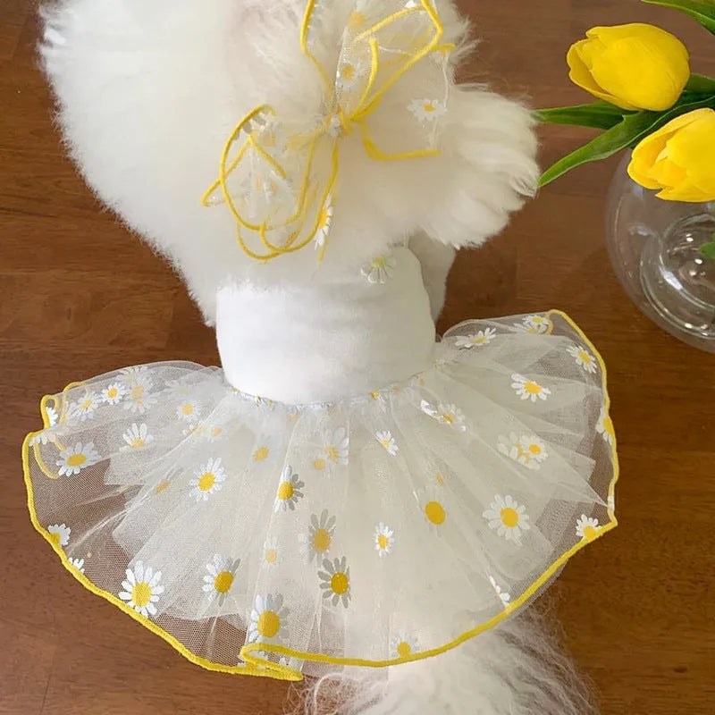 Yellow daisy floral print dog clothes in lightweight polyester fabric for summer wear