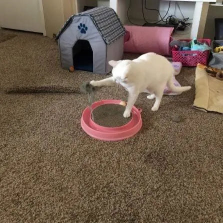 Circular blue cat scratcher with ball track and replaceable centre pad for furniture protection