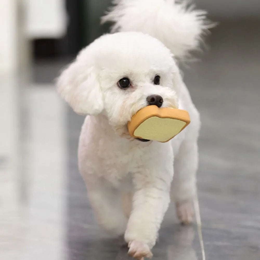 Cartoon pattern latex dog chew toy shaped like bread with egg in yellow and green colours