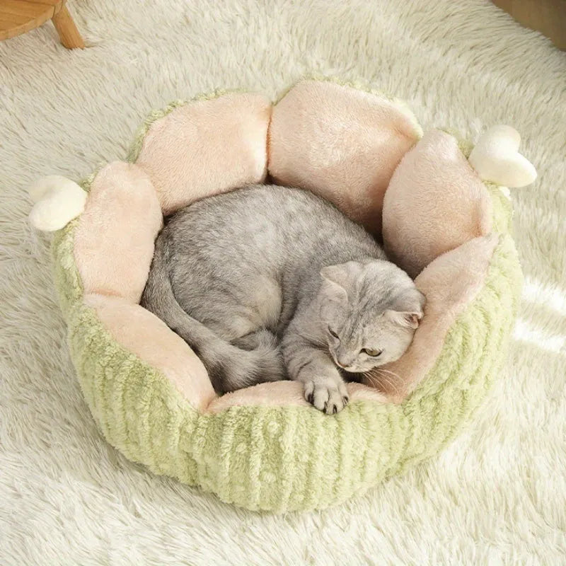 Cactus design cat litter kennel in purple and green colours showing large and small size options