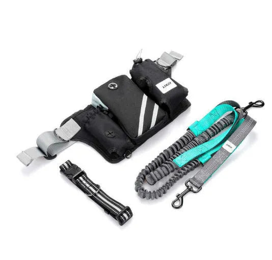 Black nylon dog walking waist bag and leash set for outdoor pet training