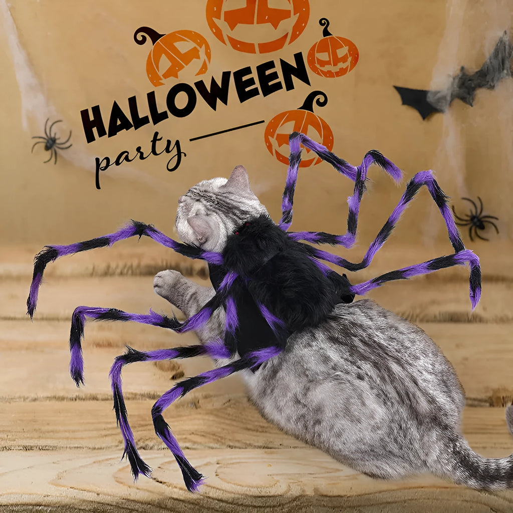 Halloween spider costume for a dog or cat in black and purple colours.