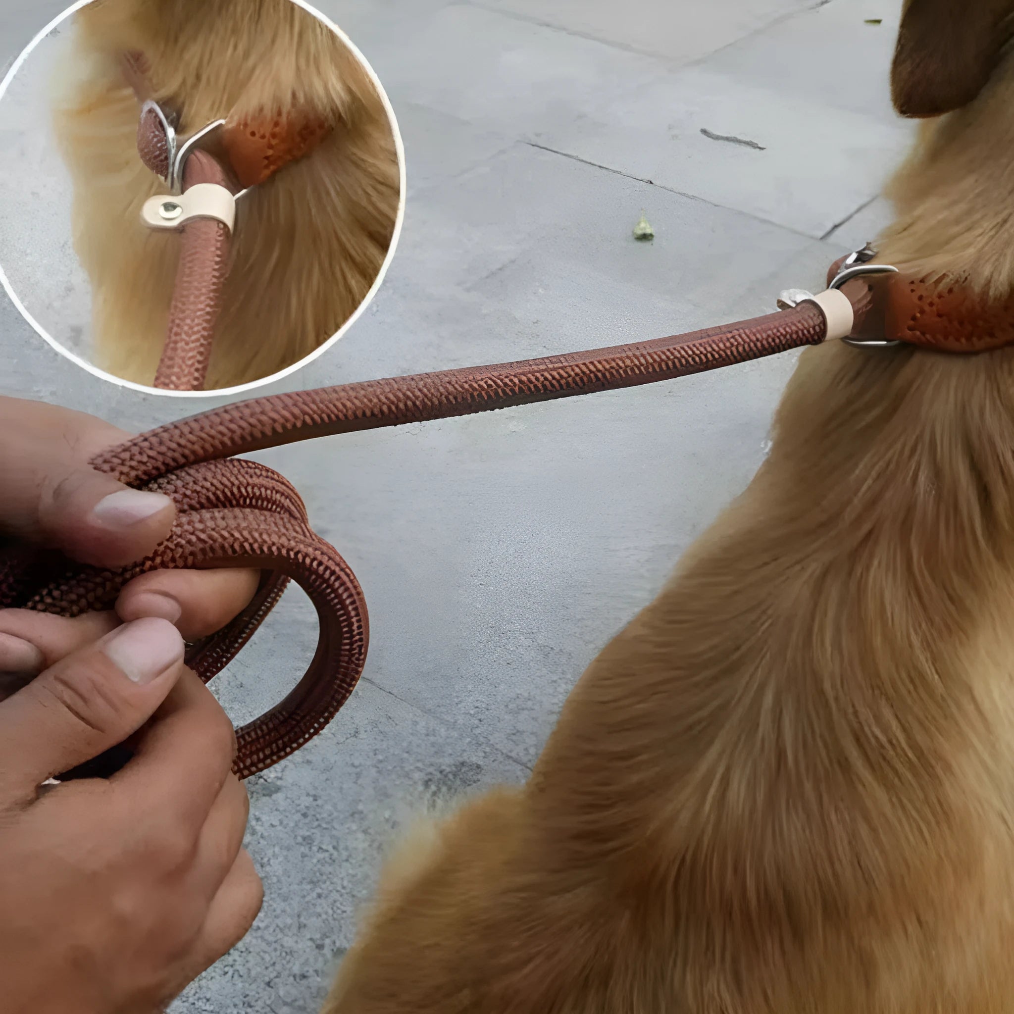 Brown nylon P chain dog leash with hand-holding rope, shown at full 2.1m length.