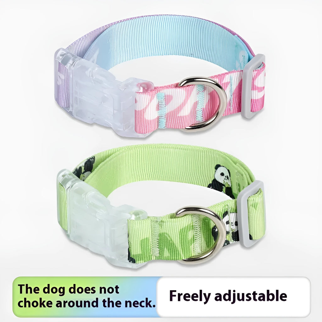Nylon dog collar with cartoon gradient printing in gradient colour and panda green options