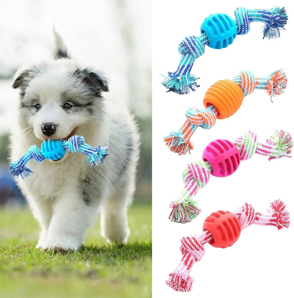 Blue dog chew toy with molar shape and rope attachment for teeth cleaning