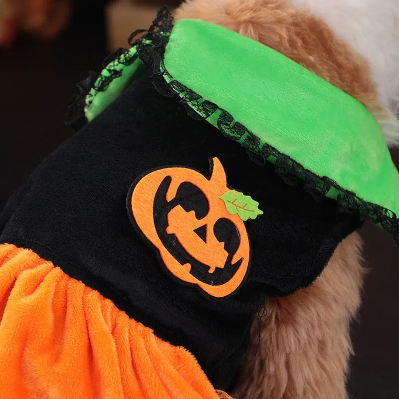 Small dog wearing a orange crystal velvet Halloween pumpkin skirt costume with green leaf accents.