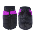 Glossy cotton dog vest in multiple colours for autumn winter wear, sizes S to 7XL
