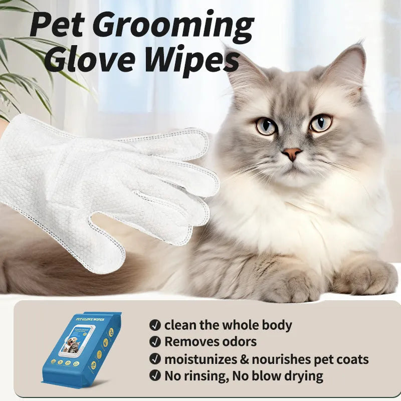 Disposable plastic gloves for pet bathing and cleaning tasks with pack size options