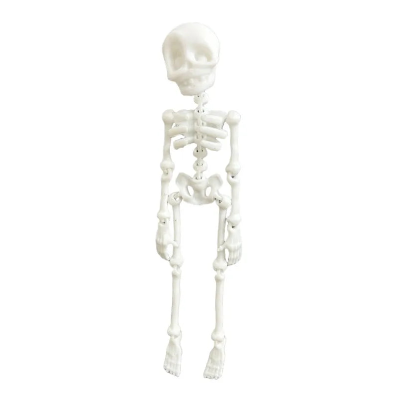 3D printed skull refrigerator magnet ornament in modern art style measuring 18cm high