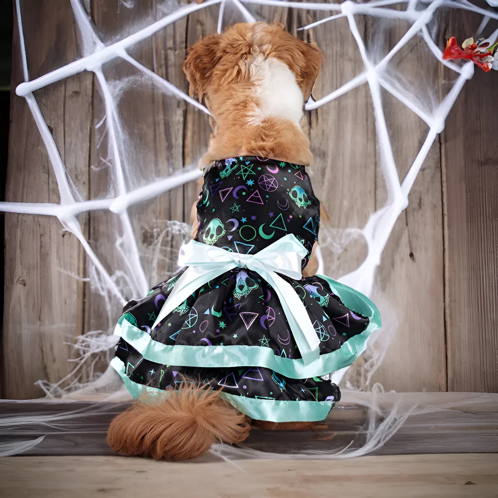 Halloween dog skirt with colourful pumpkin and skull prints in double-layer polyester