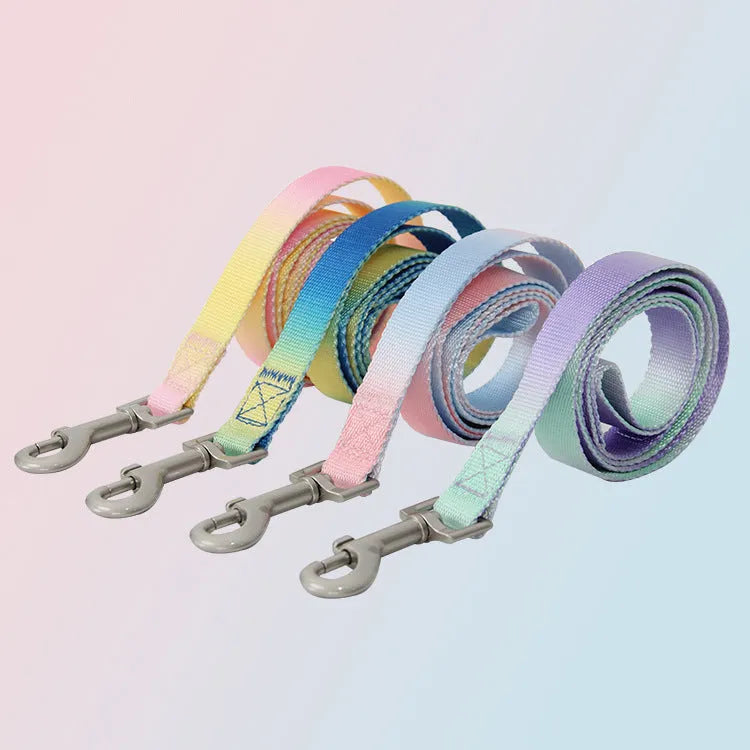 Gradient colour nylon dog leash and harness set shown in pink and blue combination.
